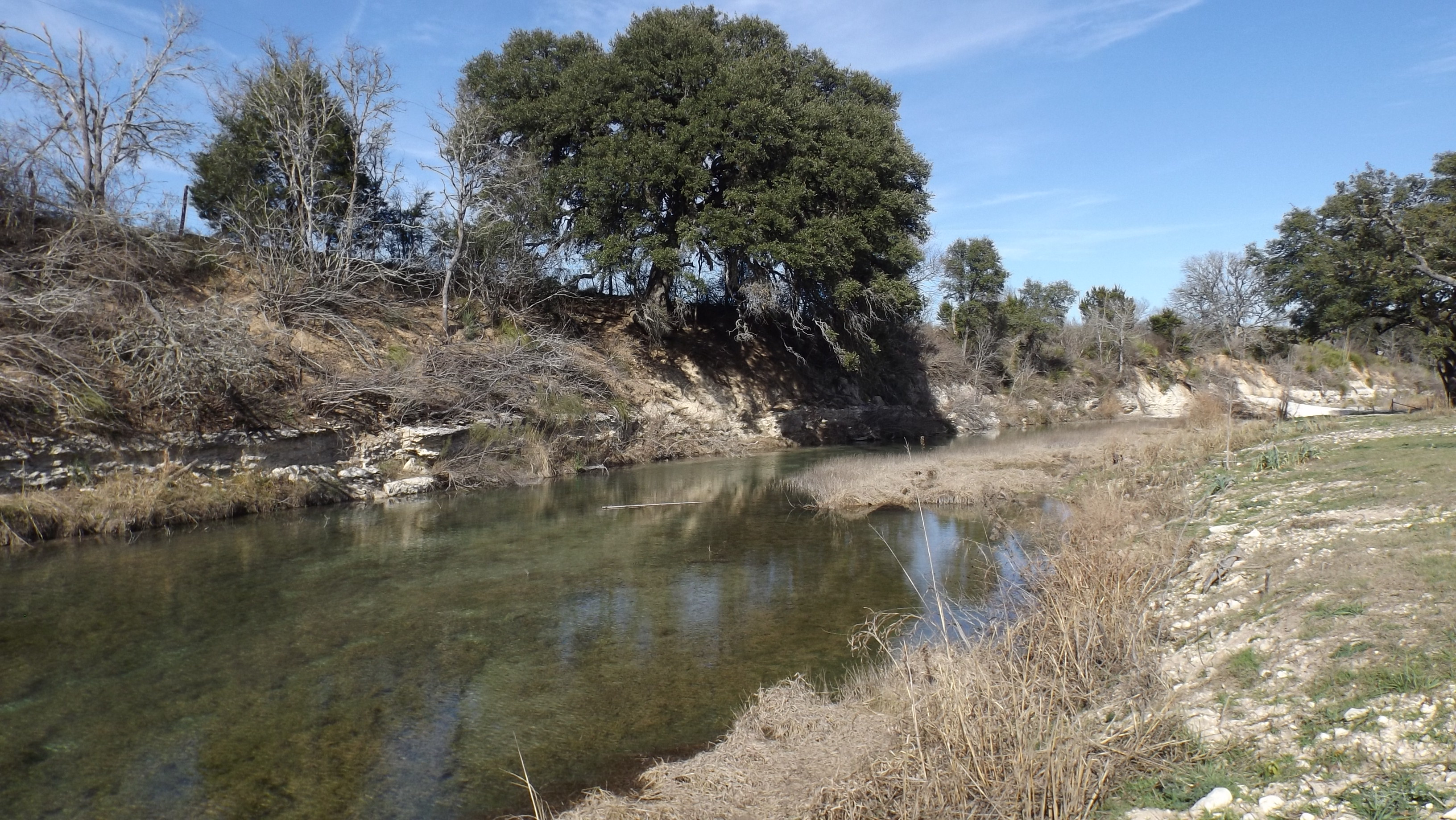 Kendalia City The Texas Ranch Company