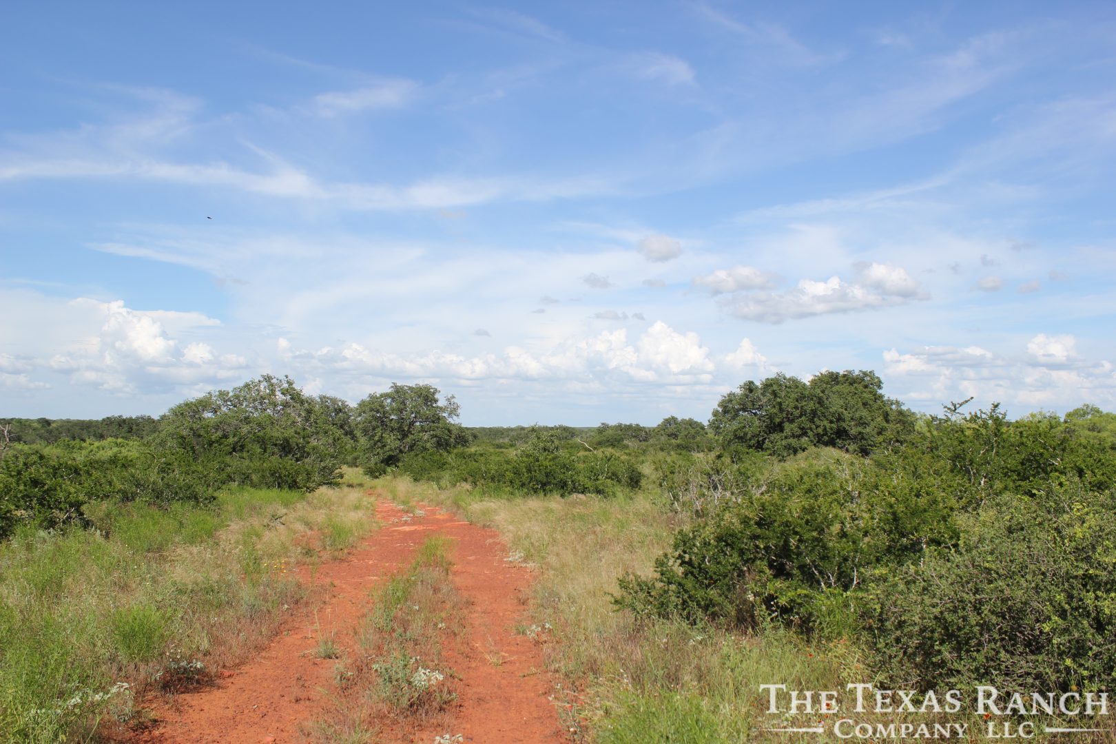 1,530 Acres, Frio County Pearsall The Texas Ranch Company