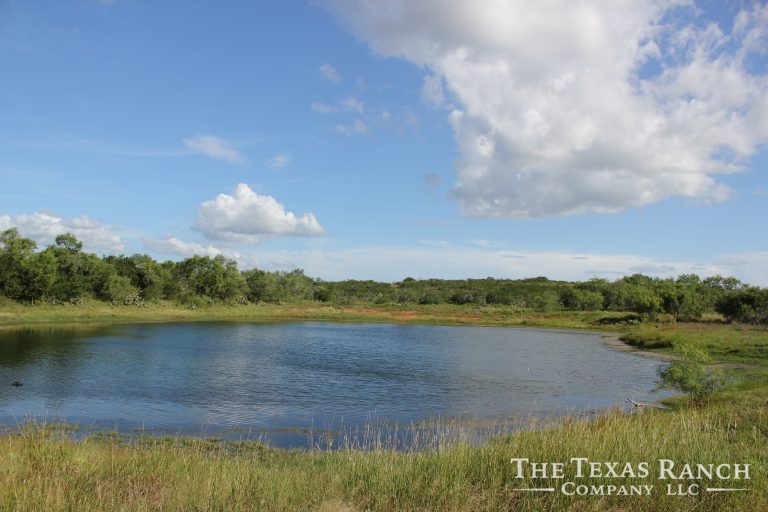1,530 Acres, Frio County- Pearsall | The Texas Ranch Company
