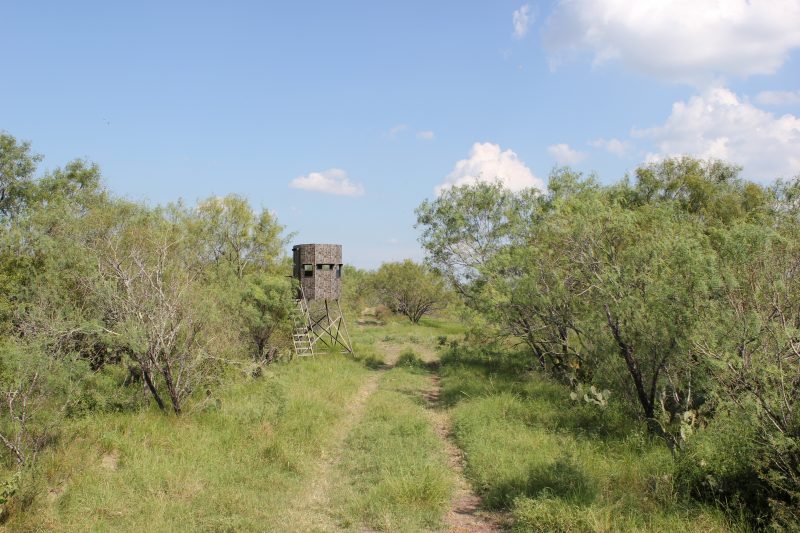 Bigfoot City The Texas Ranch Company