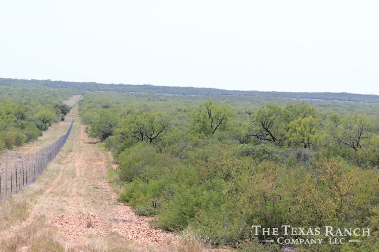 350 Acres, Frio County Buckhorn Creek Ranch The Texas Ranch Company