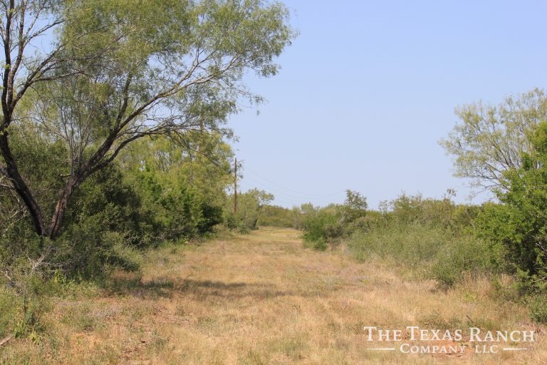 350 Acres, Frio County Buckhorn Creek Ranch The Texas Ranch Company