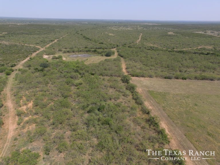 350 Acres, Frio County Buckhorn Creek Ranch The Texas Ranch Company