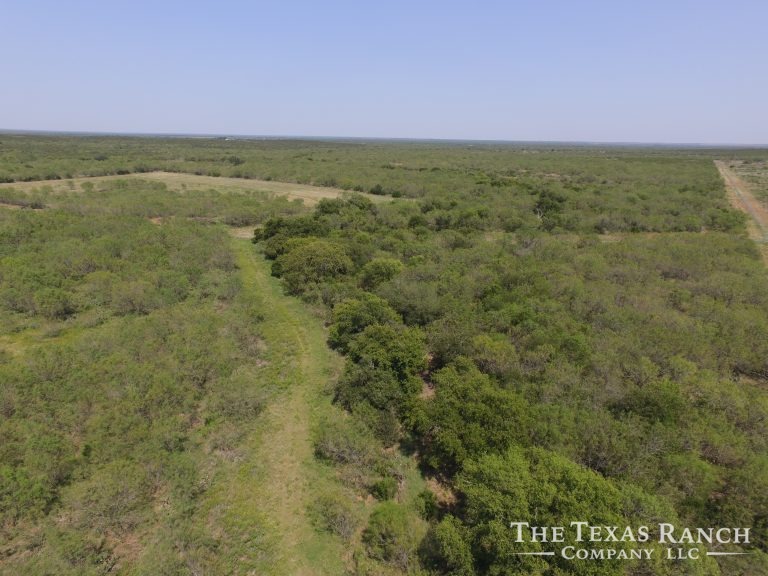 350 Acres, Frio County Buckhorn Creek Ranch The Texas Ranch Company