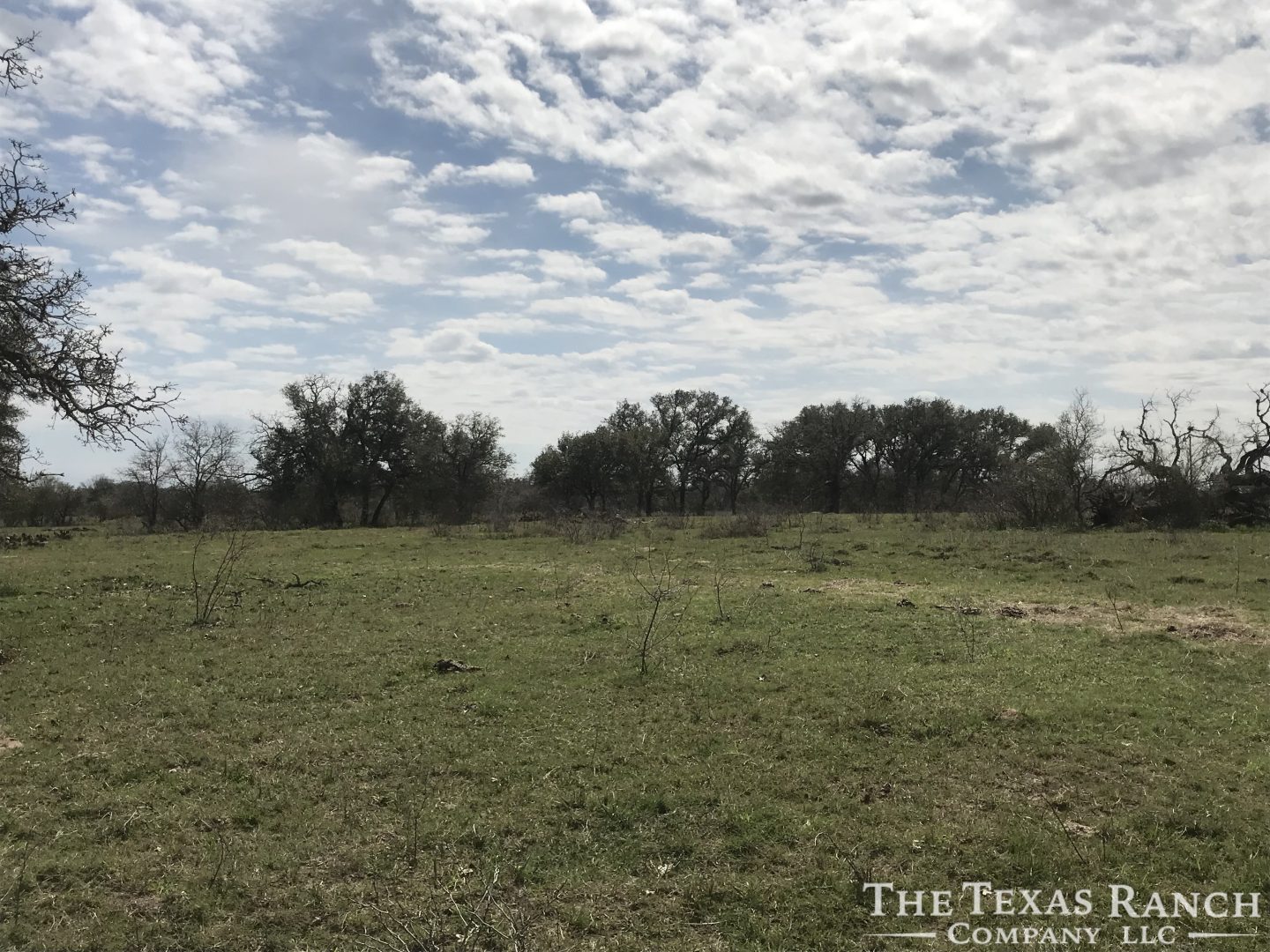 468 Acres in Goliad County, TX The Texas Ranch Company