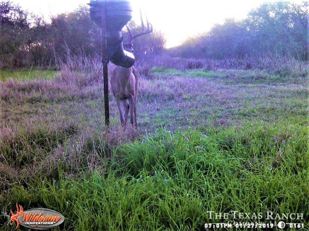 234 Acres, Goliad County Under Contract The Texas Ranch Company