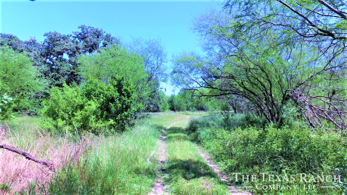 234 Acres, Goliad County, Texas The Texas Ranch Company