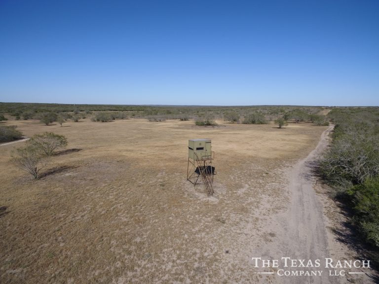 675 acres in Live Oak County, Texas The Texas Ranch Company