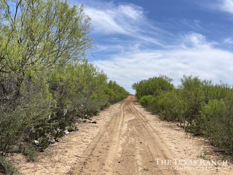 225 acres Dimmit County, Texas The Texas Ranch Company