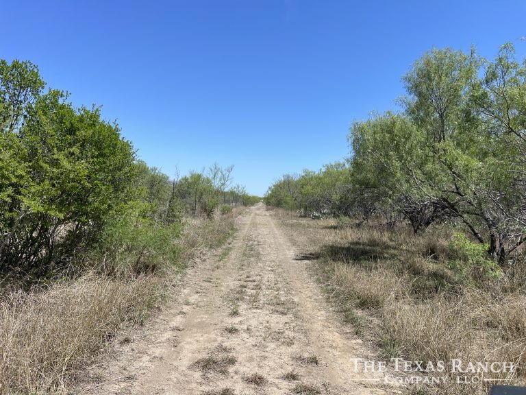 225 acres Dimmit County, Texas The Texas Ranch Company