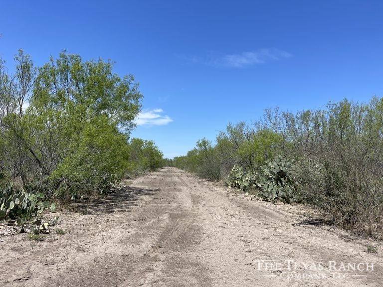 225 acres Dimmit County, Texas The Texas Ranch Company