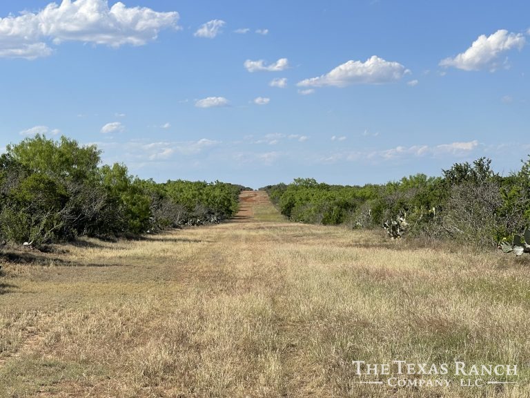 720 Acres, Atascosa County, Texas The Texas Ranch Company