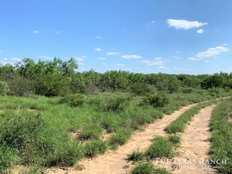 1,126 Acres, Dimmit County, Texas The Texas Ranch Company