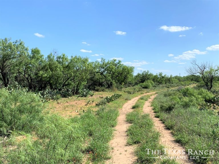 1,126 Acres, Dimmit County, Texas The Texas Ranch Company