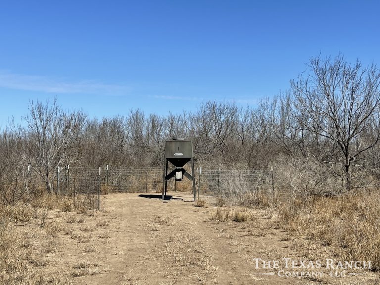 281 acres in Dimmit County, Texas The Texas Ranch Company
