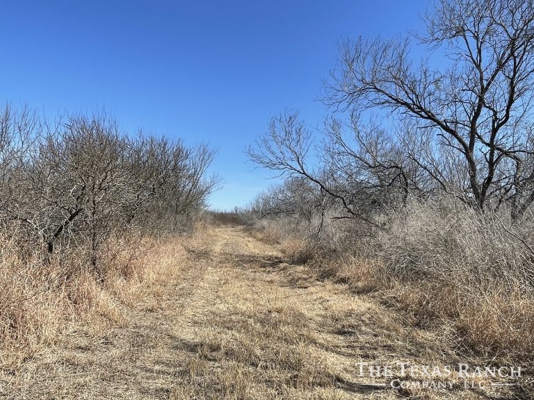 281 acres in Dimmit County, Texas The Texas Ranch Company