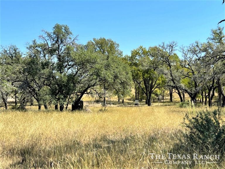 184 Acres, Gillespie County, Texas The Texas Ranch Company