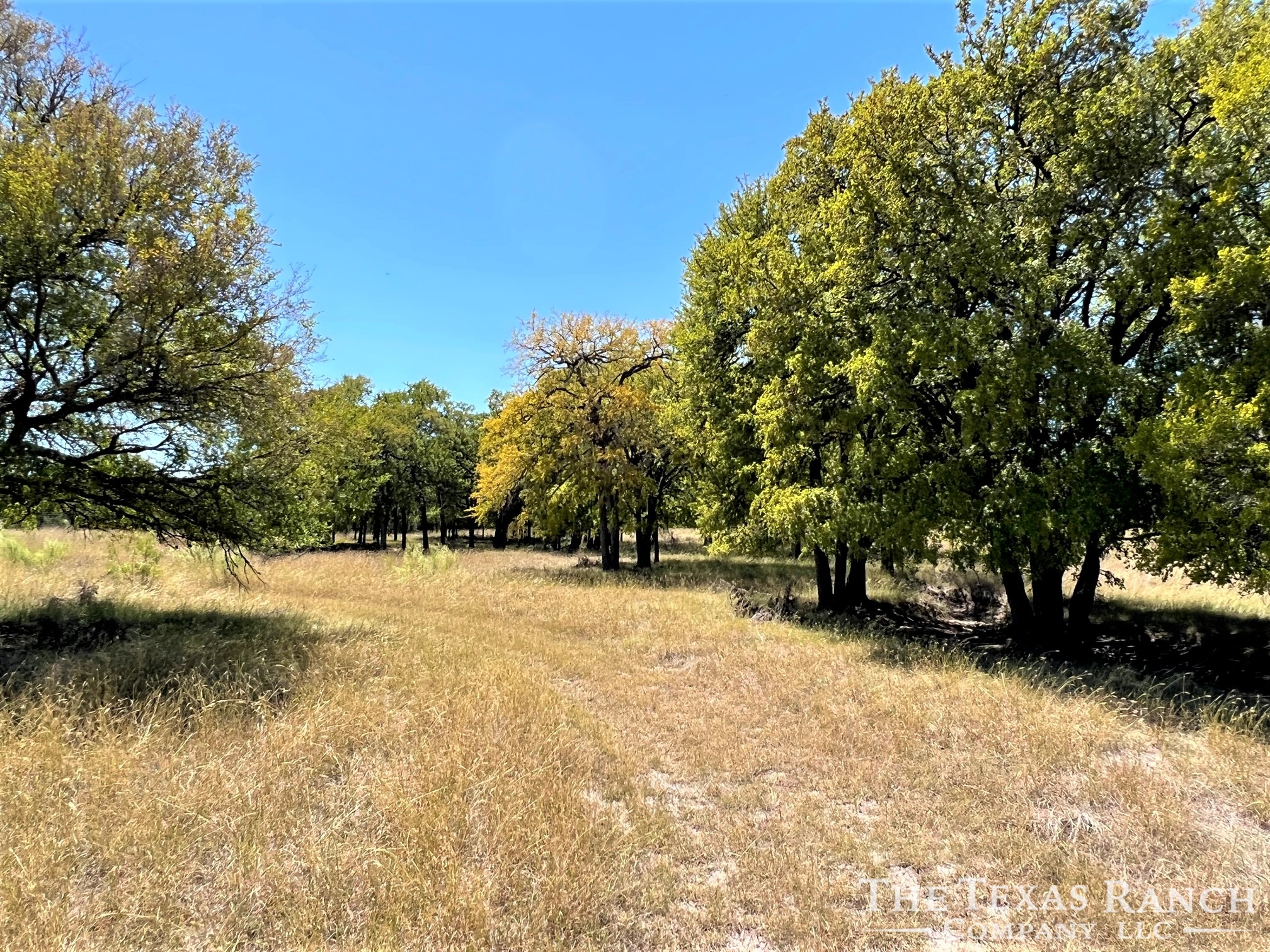 Stonewall City The Texas Ranch Company
