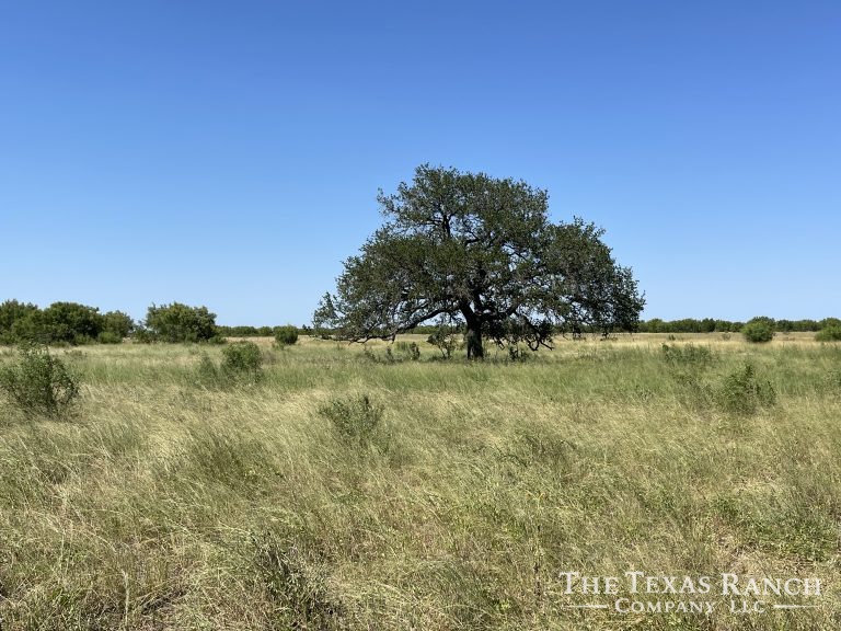 1,285 acres in Frio County, Texas The Texas Ranch Company