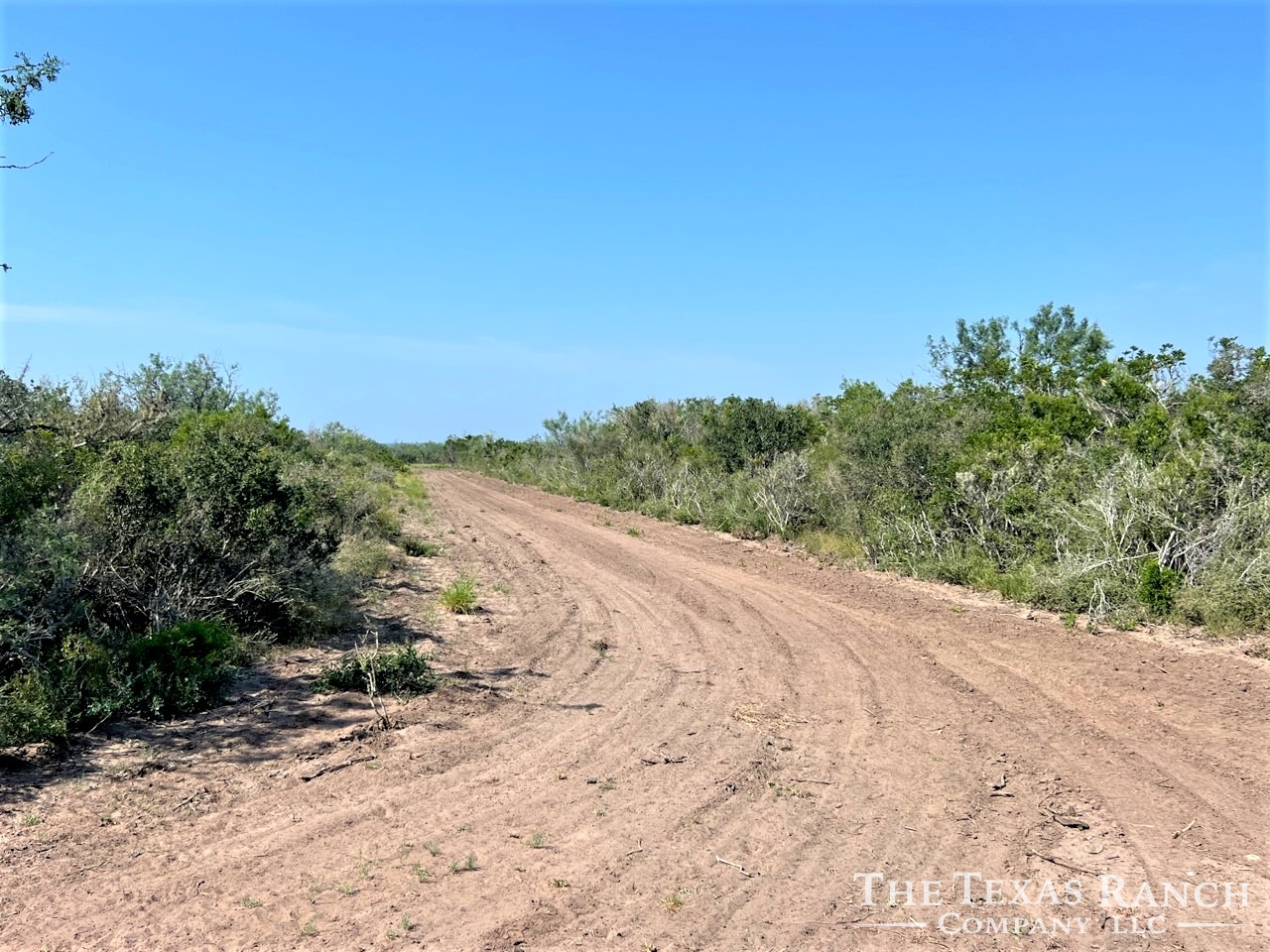 577 Acres, Duval County, Texas The Texas Ranch Company